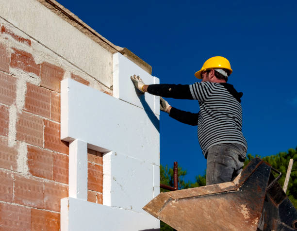 Best Cellulose Insulation in Lake St Louis, MO