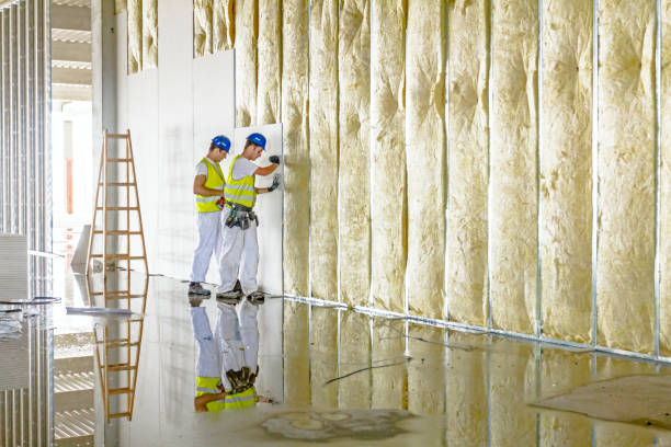 Best Blown-in Insulation in Lake St Louis, MO